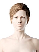 Female head, illustration