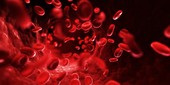 Human blood cells, illustration