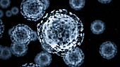 Covid-19 coronavirus particles, illustration