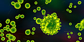 Covid-19 coronavirus particles, illustration