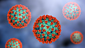 Covid-19 coronavirus particles, illustration