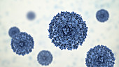 Covid-19 coronavirus particles, illustration