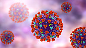 Covid-19 coronavirus particles, illustration