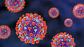 Covid-19 coronavirus particles, illustration