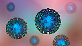 Covid-19 coronavirus particles, illustration