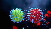 Eradicating coronavirus, conceptual illustration