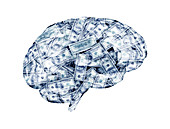 Human brain made from money, illustration