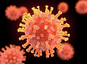 Coronaviruses, illustration
