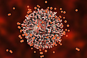 SARS-CoV-2 viruses and immune cell, illustration