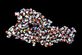 Hantavirus glycoprotein Gc, molecular model