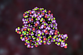 Hantavirus glycoprotein Gn, molecular model