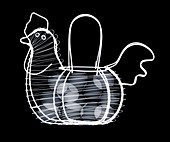Wire egg basket in shape of a chicken, X-ray