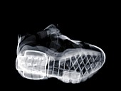 Cross training shoe at an angle, X-ray