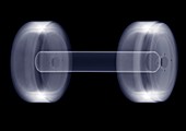Dumbbell weight, X-ray