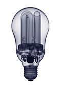 Rounded light bulb, X-ray