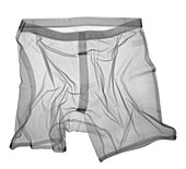 Boxer shorts, X-ray