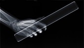 Human hand holding baton, X-ray