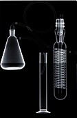 Glass beakers and test tube, X-ray