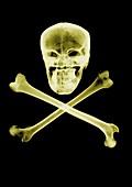 Skull and crossbones, X-ray