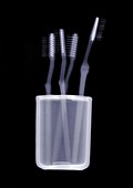 Toothbrushes in a container, X-ray