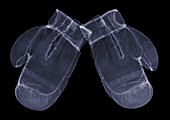 Pair of boxing gloves, X-ray