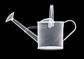 watering can, X-ray