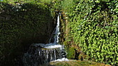 Rog waterfall with plants, Croatia