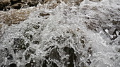 Skradin's waterfall gushing, Croatia