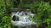 Skradin's waterfall and vegetation, Croatia