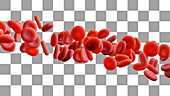 Red blood cells, animation