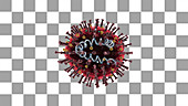 SARS-CoV-2 coronavirus structure