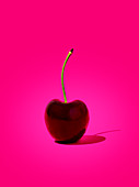 Eine Kirsche vor pinkfarbenem Hintergrund