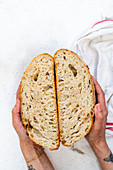 Sourdough bread sliced in half to show interior