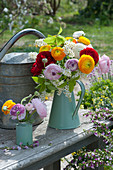 Colorful bouquet of ranunculus and bird cherry in a turquoise tin can