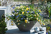Gray bowl with wild tulips, grape hyacinths, ray anemones and primroses