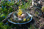 Osternest im Garten: Teller mit Kranz aus Gräsern und Moos mit Ostereiern, Zweig von Goldglöckchen und Feder
