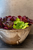 Various lettuces in a stone bowl
