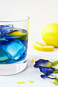Butterfly pea cocktail with lemonsand vodka (or gin)