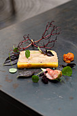 Goose liver terrine with fig and apricot