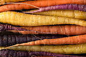 Verschiedenfarbige Karotten