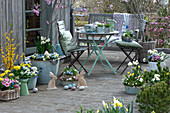 Easter terrace with primroses, horned violets, daffodils, gold bells, daisies, star of milk, grape hyacinths, Easter bunnies and Easter eggs