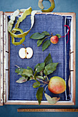 Äpfel, Apfelscheibe und Apfelschale auf blauem Stoff