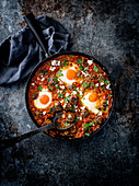 Shakshuka mit Lammfleischbällchen