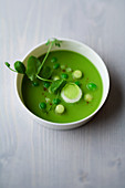 Pea and apple gazpacho with cumin and basil