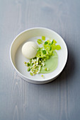 Yoghurt and anise mousse with avocado and verbena granita