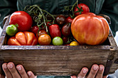 Woman holding wooden box with colourful tomatoes