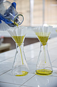 Olivenöl wird gefiltert, IFAPA Forschungszentrum, Provinz Cordoba, Andalusien, Spanien