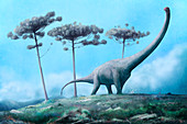 Dreadnoughtus dinosaur, illustration