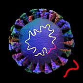Creating new coronavirus strain, conceptual illustration