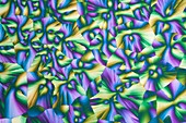 Ferrous sulphate, polarised light micrograph